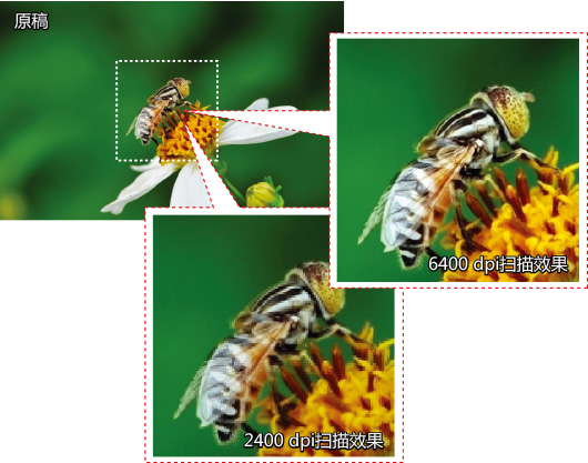 1552632310772294.jpg 1552632310772294.jpg